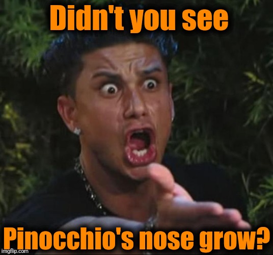 DJ Pauly D Meme | Didn't you see Pinocchio's nose grow? | image tagged in memes,dj pauly d | made w/ Imgflip meme maker