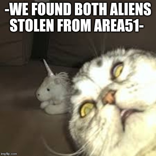 its a little late | -WE FOUND BOTH ALIENS STOLEN FROM AREA51- | image tagged in area 51,animals,cats,unicorn,scared cat,cringe worthy | made w/ Imgflip meme maker