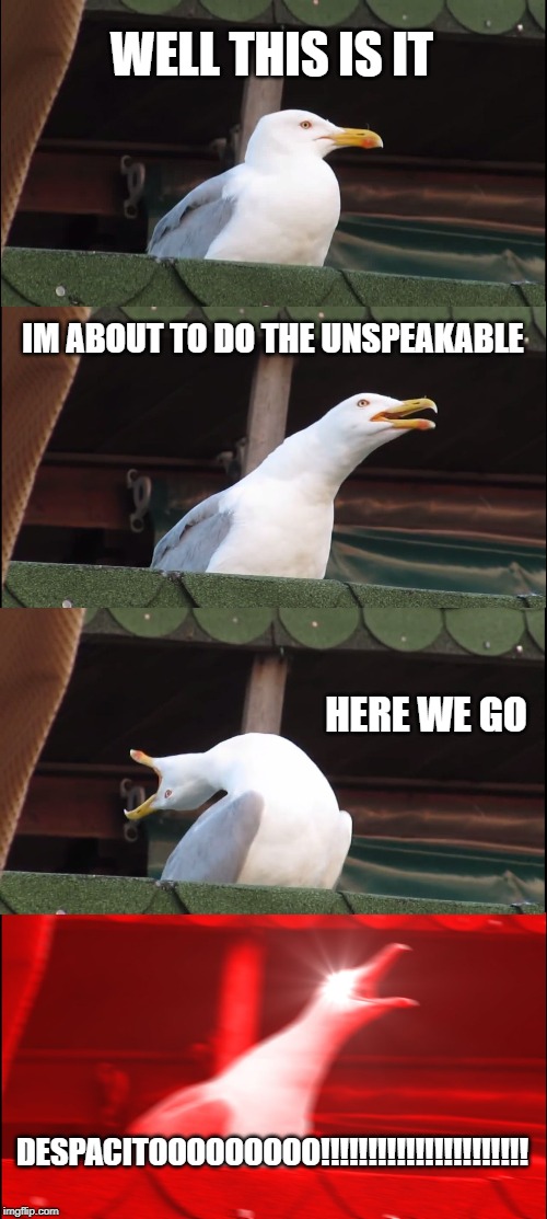 Inhaling Seagull | WELL THIS IS IT; IM ABOUT TO DO THE UNSPEAKABLE; HERE WE GO; DESPACITOOOOOOOOO!!!!!!!!!!!!!!!!!!!!!! | image tagged in memes,inhaling seagull | made w/ Imgflip meme maker