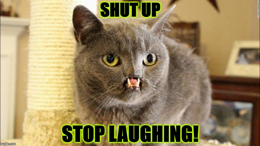 SHUT UP | SHUT UP; STOP LAUGHING! | image tagged in shut up | made w/ Imgflip meme maker