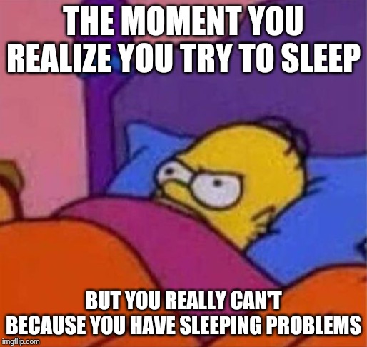 Insomnia my ass | THE MOMENT YOU REALIZE YOU TRY TO SLEEP; BUT YOU REALLY CAN'T BECAUSE YOU HAVE SLEEPING PROBLEMS | image tagged in angry homer simpson in bed | made w/ Imgflip meme maker