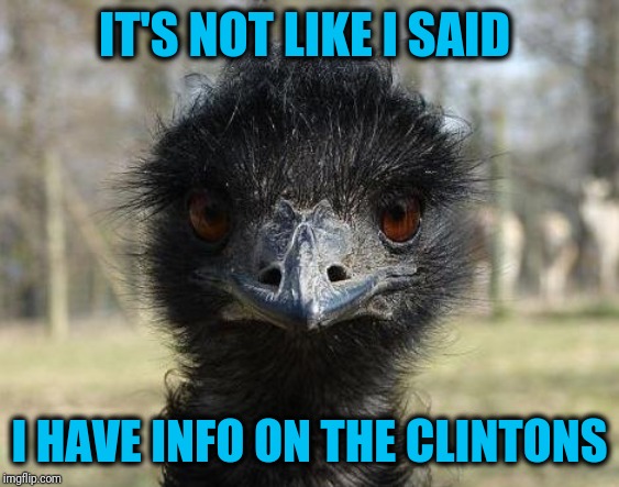 Bad News Emu | IT'S NOT LIKE I SAID I HAVE INFO ON THE CLINTONS | image tagged in bad news emu | made w/ Imgflip meme maker