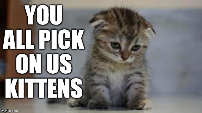 Sad kitten | YOU ALL PICK ON US KITTENS | image tagged in sad kitten | made w/ Imgflip meme maker