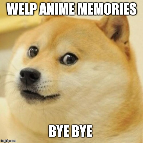 wow doge | WELP ANIME MEMORIES BYE BYE | image tagged in wow doge | made w/ Imgflip meme maker