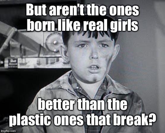 Beaver Cleaver  | But aren’t the ones born like real girls better than the plastic ones that break? | image tagged in beaver cleaver | made w/ Imgflip meme maker