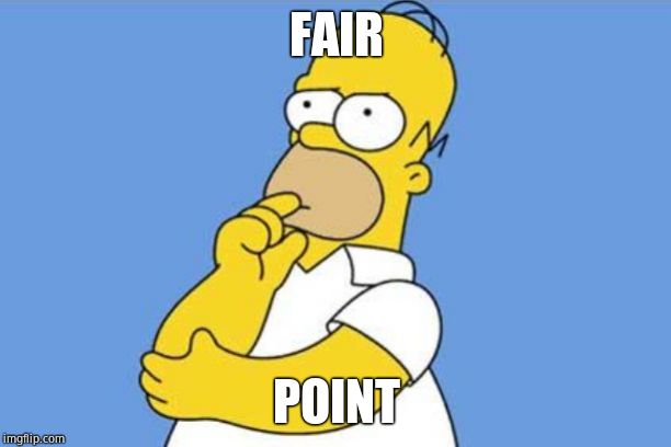Homer thinking | FAIR POINT | image tagged in homer thinking | made w/ Imgflip meme maker