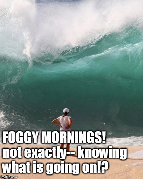 FOGGY MORNINGS!  not exactly-- knowing what is going on!? | image tagged in foggy morning wave,what's going on wave,mornings,ocean wave,sea wave,ocean morning | made w/ Imgflip meme maker
