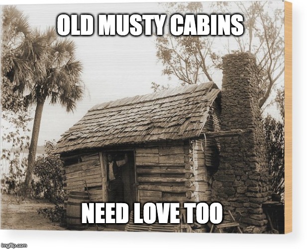 OLD MUSTY CABINS; NEED LOVE TOO | made w/ Imgflip meme maker