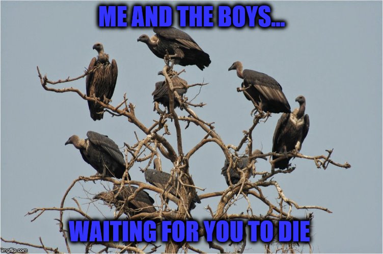 Patience.... | ME AND THE BOYS... WAITING FOR YOU TO DIE | image tagged in me and the boys week | made w/ Imgflip meme maker