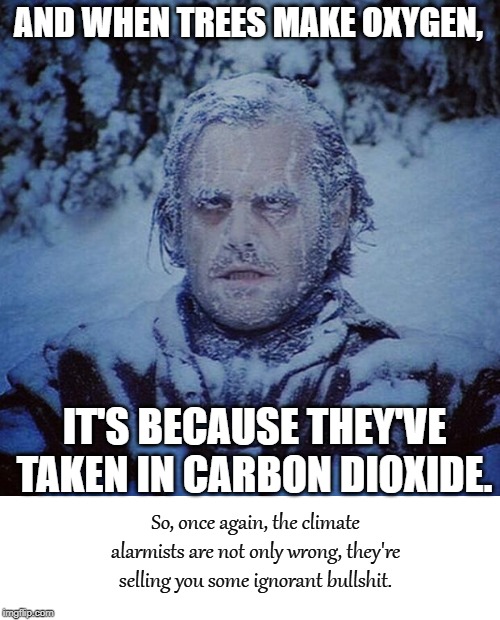 Global Shining | AND WHEN TREES MAKE OXYGEN, IT'S BECAUSE THEY'VE TAKEN IN CARBON DIOXIDE. So, once again, the climate alarmists are not only wrong, they're  | image tagged in global shining | made w/ Imgflip meme maker