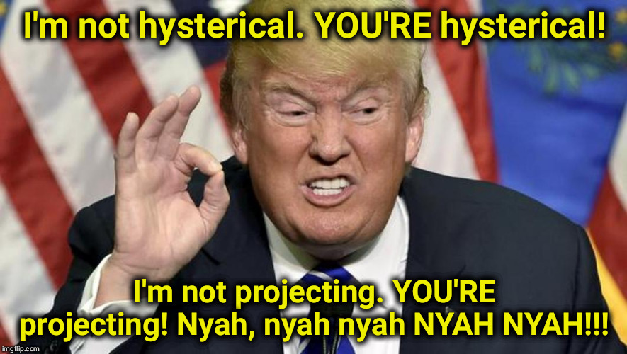 Who's hysterical? | I'm not hysterical. YOU'RE hysterical! I'm not projecting. YOU'RE projecting! Nyah, nyah nyah NYAH NYAH!!! | image tagged in trump the best,hysterical,trump,projection | made w/ Imgflip meme maker