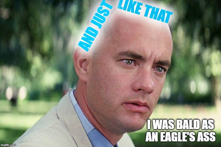 And Just Like That Meme | LIKE THAT; AND JUST; I WAS BALD AS AN EAGLE'S ASS | image tagged in memes,and just like that | made w/ Imgflip meme maker