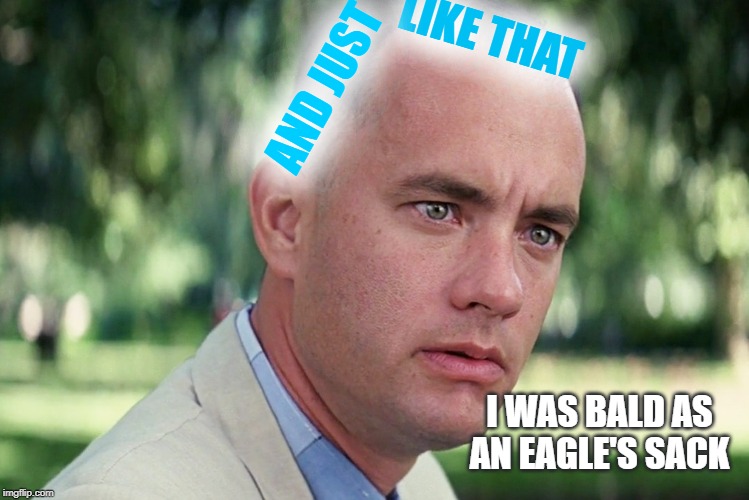 And Just Like That | LIKE THAT; AND JUST; I WAS BALD AS AN EAGLE'S SACK | image tagged in memes,and just like that | made w/ Imgflip meme maker