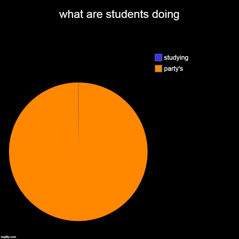 what are students doing | party's, studying | image tagged in charts,pie charts | made w/ Imgflip chart maker