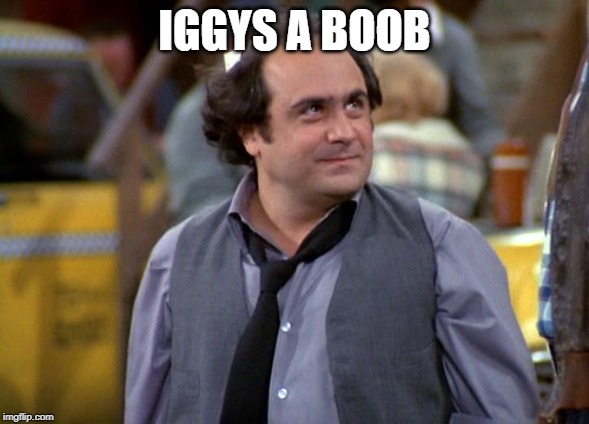 Dipalma | IGGYS A BOOB | image tagged in dipalma | made w/ Imgflip meme maker