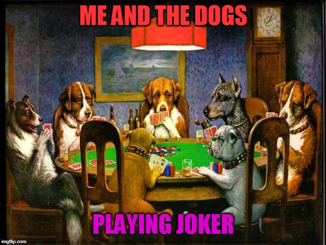 Me and the boys week - a Nixie.Knox and CravenMoordik event (Aug 19-25) | ME AND THE DOGS; PLAYING JOKER | image tagged in nixieknox,cravenmoordik,me and the boys,me and the boys week,dog,joker | made w/ Imgflip meme maker