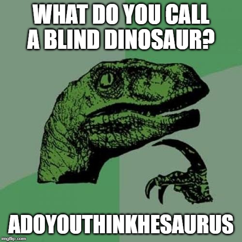 Philosoraptor Meme | WHAT DO YOU CALL A BLIND DINOSAUR? ADOYOUTHINKHESAURUS | image tagged in memes,philosoraptor | made w/ Imgflip meme maker