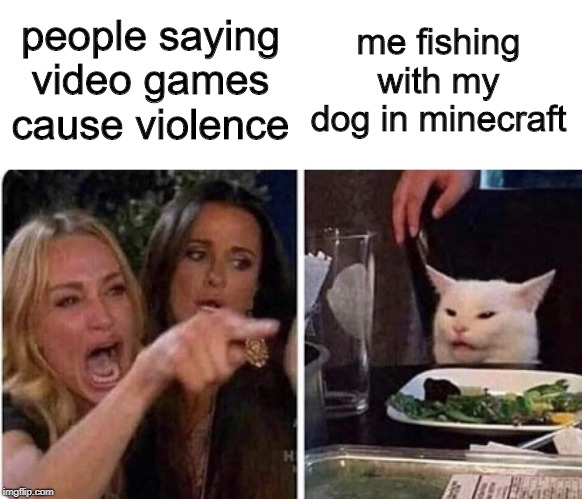 Lady screams at cat | people saying video games cause violence; me fishing with my dog in minecraft | image tagged in lady screams at cat | made w/ Imgflip meme maker