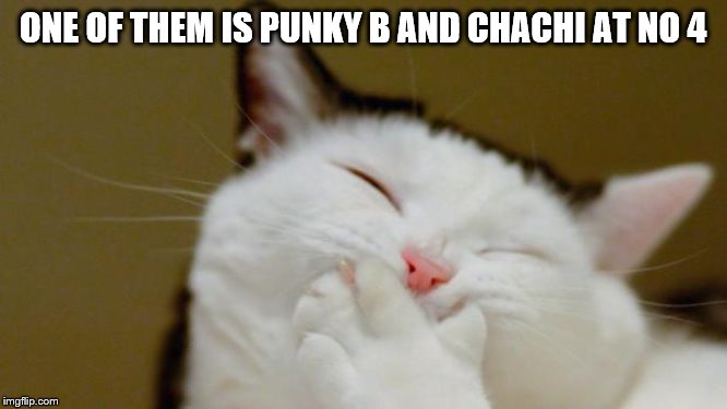 Laughing Cat | ONE OF THEM IS PUNKY B AND CHACHI AT NO 4 | image tagged in laughing cat | made w/ Imgflip meme maker