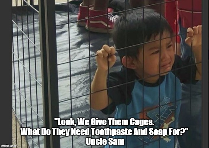 "Look, We Give Them Cages. 
What Do They Need Toothpaste And Soap For?" 
Uncle Sam | made w/ Imgflip meme maker