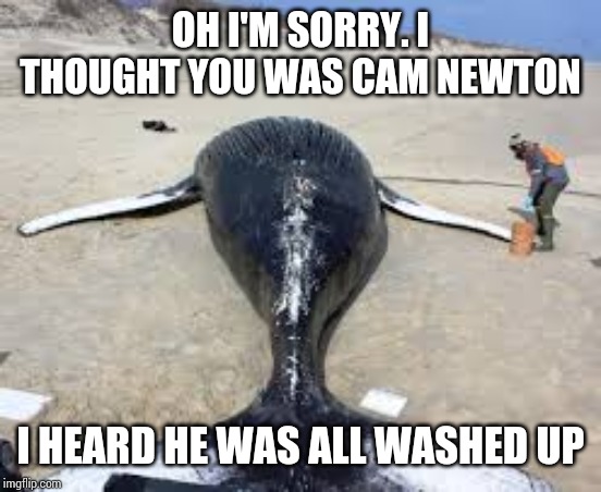 All washed up | OH I'M SORRY. I THOUGHT YOU WAS CAM NEWTON; I HEARD HE WAS ALL WASHED UP | image tagged in cam newton,whale | made w/ Imgflip meme maker