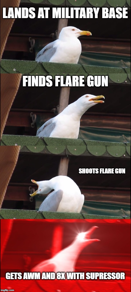 Inhaling Seagull Meme | LANDS AT MILITARY BASE; FINDS FLARE GUN; SHOOTS FLARE GUN; GETS AWM AND 8X WITH SUPRESSOR | image tagged in memes,inhaling seagull | made w/ Imgflip meme maker