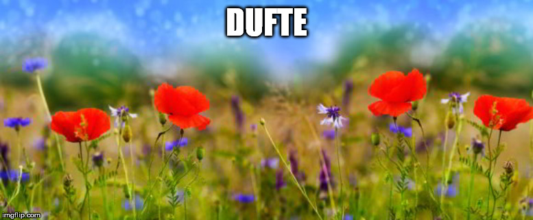 DUFTE | made w/ Imgflip meme maker