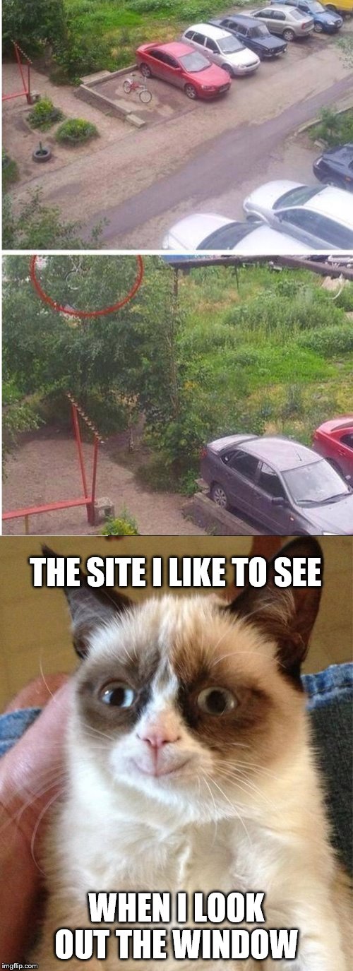 'Where did my bike go?' | THE SITE I LIKE TO SEE; WHEN I LOOK OUT THE WINDOW | image tagged in memes,grumpy cat happy,bike | made w/ Imgflip meme maker