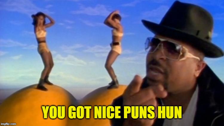 sir mixalot | YOU GOT NICE PUNS HUN | image tagged in sir mixalot | made w/ Imgflip meme maker