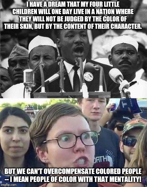 I HAVE A DREAM THAT MY FOUR LITTLE CHILDREN WILL ONE DAY LIVE IN A NATION WHERE THEY WILL NOT BE JUDGED BY THE COLOR OF THEIR SKIN, BUT BY T | image tagged in mlk,foggy | made w/ Imgflip meme maker