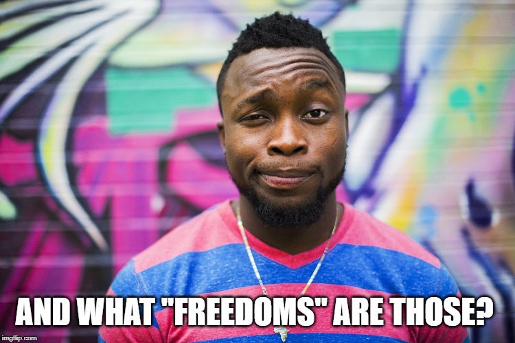 AND WHAT "FREEDOMS" ARE THOSE? | made w/ Imgflip meme maker