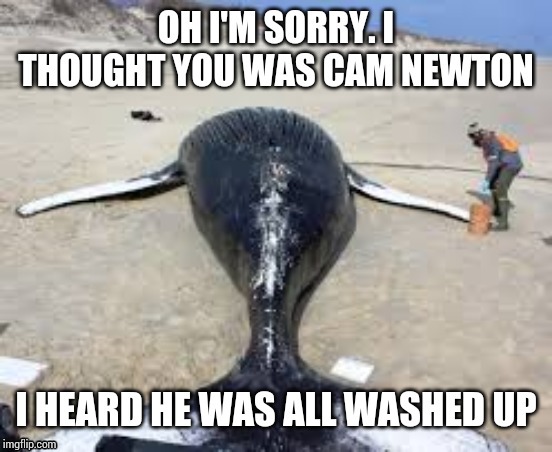 All washed up | image tagged in cam newton,whale | made w/ Imgflip meme maker