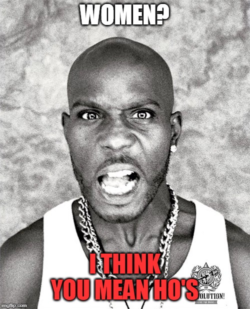 DMX Yell | WOMEN? I THINK YOU MEAN HO'S | image tagged in dmx yell | made w/ Imgflip meme maker