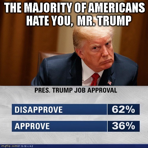 Mr. Trump - You are Bankrupt, AGAIN! | THE MAJORITY OF AMERICANS     HATE YOU,  MR. TRUMP | image tagged in impeach trump,anyone but trump 2020,criminal,conman,liar,traitor | made w/ Imgflip meme maker
