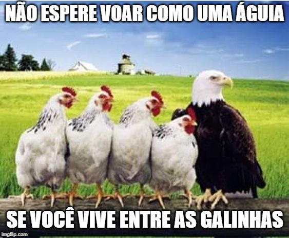 NÃO ESPERE VOAR COMO UMA ÁGUIA; SE VOCÊ VIVE ENTRE AS GALINHAS | made w/ Imgflip meme maker