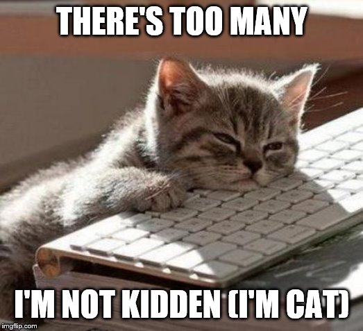 tired cat | THERE'S TOO MANY I'M NOT KIDDEN (I'M CAT) | image tagged in tired cat | made w/ Imgflip meme maker