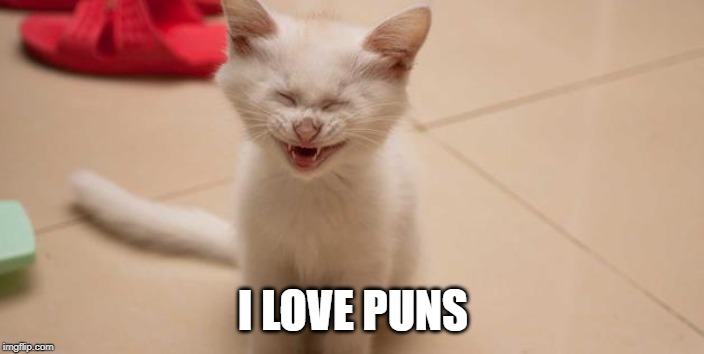 Cat Laughing | I LOVE PUNS | image tagged in cat laughing | made w/ Imgflip meme maker