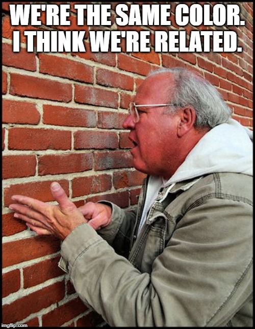 like talking to a brick wall 2 | WE'RE THE SAME COLOR. I THINK WE'RE RELATED. | image tagged in like talking to a brick wall 2 | made w/ Imgflip meme maker