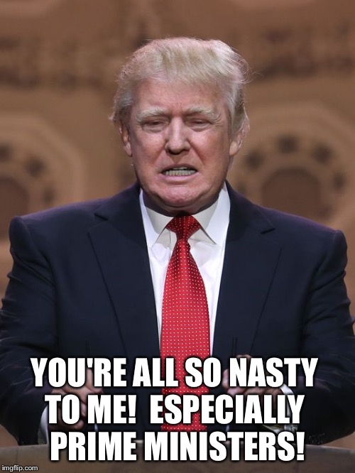 Donald Trump | YOU'RE ALL SO NASTY 
TO ME!  ESPECIALLY 
PRIME MINISTERS! | image tagged in donald trump | made w/ Imgflip meme maker