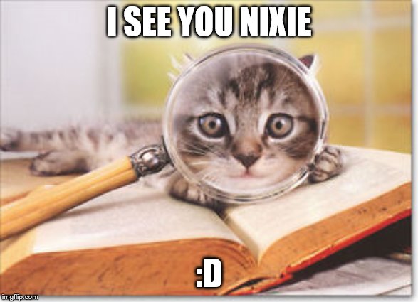 cat magnifying glass | I SEE YOU NIXIE :D | image tagged in cat magnifying glass | made w/ Imgflip meme maker