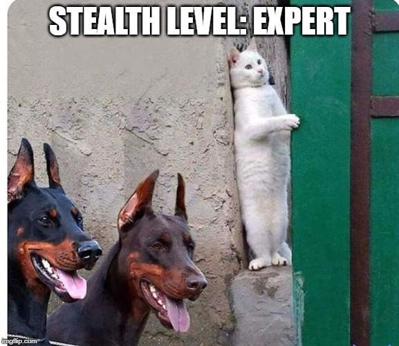 Hidden cat | STEALTH LEVEL: EXPERT | image tagged in hidden cat | made w/ Imgflip meme maker