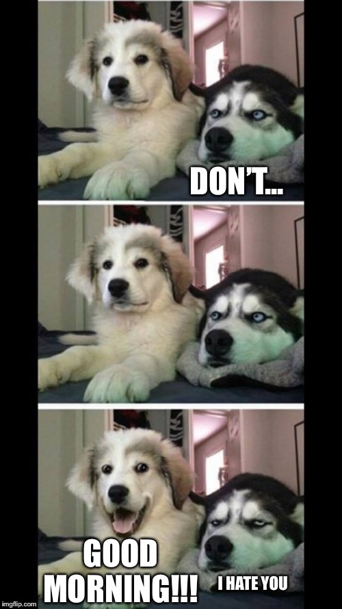 Two dogs bad joke | DON’T... GOOD MORNING!!! I HATE YOU | image tagged in two dogs bad joke | made w/ Imgflip meme maker
