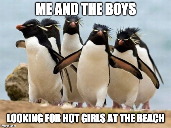 Me and the Boys Week! A CravenMoordik and Nixie.Knox Event! (August 19 - August 25) |  ME AND THE BOYS; LOOKING FOR HOT GIRLS AT THE BEACH | image tagged in memes,penguin gang,me and the boys,me and the boys week,beach,beach babe | made w/ Imgflip meme maker