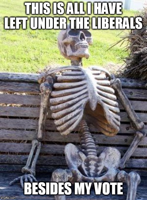 Waiting Skeleton Meme | THIS IS ALL I HAVE LEFT UNDER THE LIBERALS BESIDES MY VOTE | image tagged in memes,waiting skeleton | made w/ Imgflip meme maker