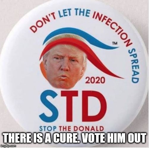 Donald STD | THERE IS A CURE. VOTE HIM OUT | image tagged in donald std | made w/ Imgflip meme maker