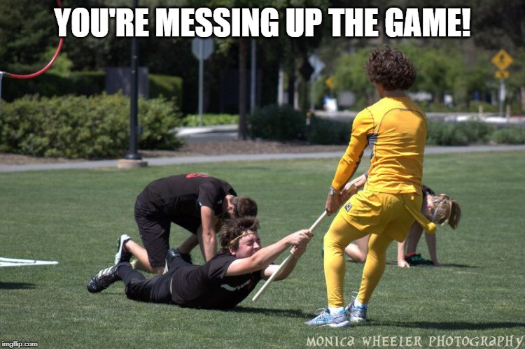 Golden Snitch player drags Quidditch player | YOU'RE MESSING UP THE GAME! | image tagged in golden snitch player drags quidditch player | made w/ Imgflip meme maker