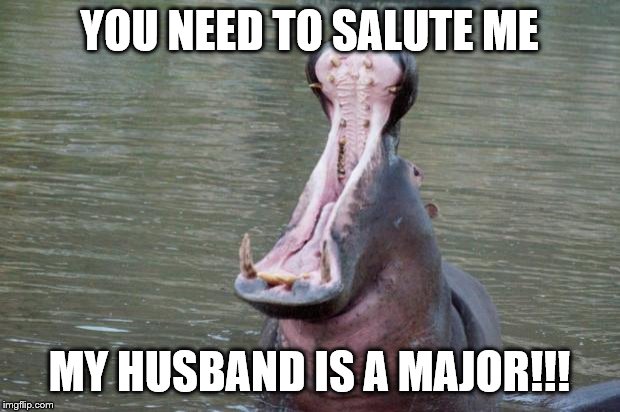 Hippo Mouth Open | YOU NEED TO SALUTE ME; MY HUSBAND IS A MAJOR!!! | image tagged in hippo mouth open | made w/ Imgflip meme maker