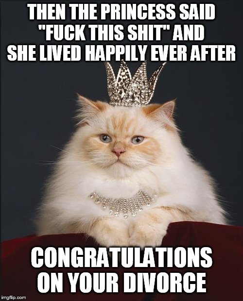 Princess Cat | THEN THE PRINCESS SAID "FUCK THIS SHIT" AND SHE LIVED HAPPILY EVER AFTER; CONGRATULATIONS ON YOUR DIVORCE | image tagged in princess cat,divorce,for her,fairy tale | made w/ Imgflip meme maker