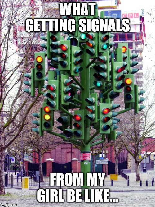 Traffic Light tree | WHAT GETTING SIGNALS; FROM MY GIRL BE LIKE... | image tagged in traffic light tree | made w/ Imgflip meme maker