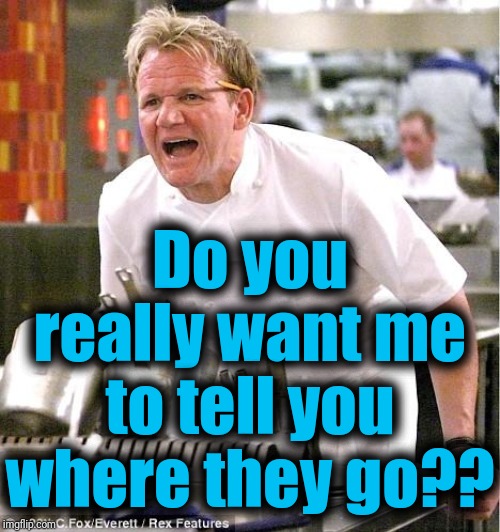 Chef Gordon Ramsay Meme | Do you really want me to tell you where they go?? | image tagged in memes,chef gordon ramsay | made w/ Imgflip meme maker
